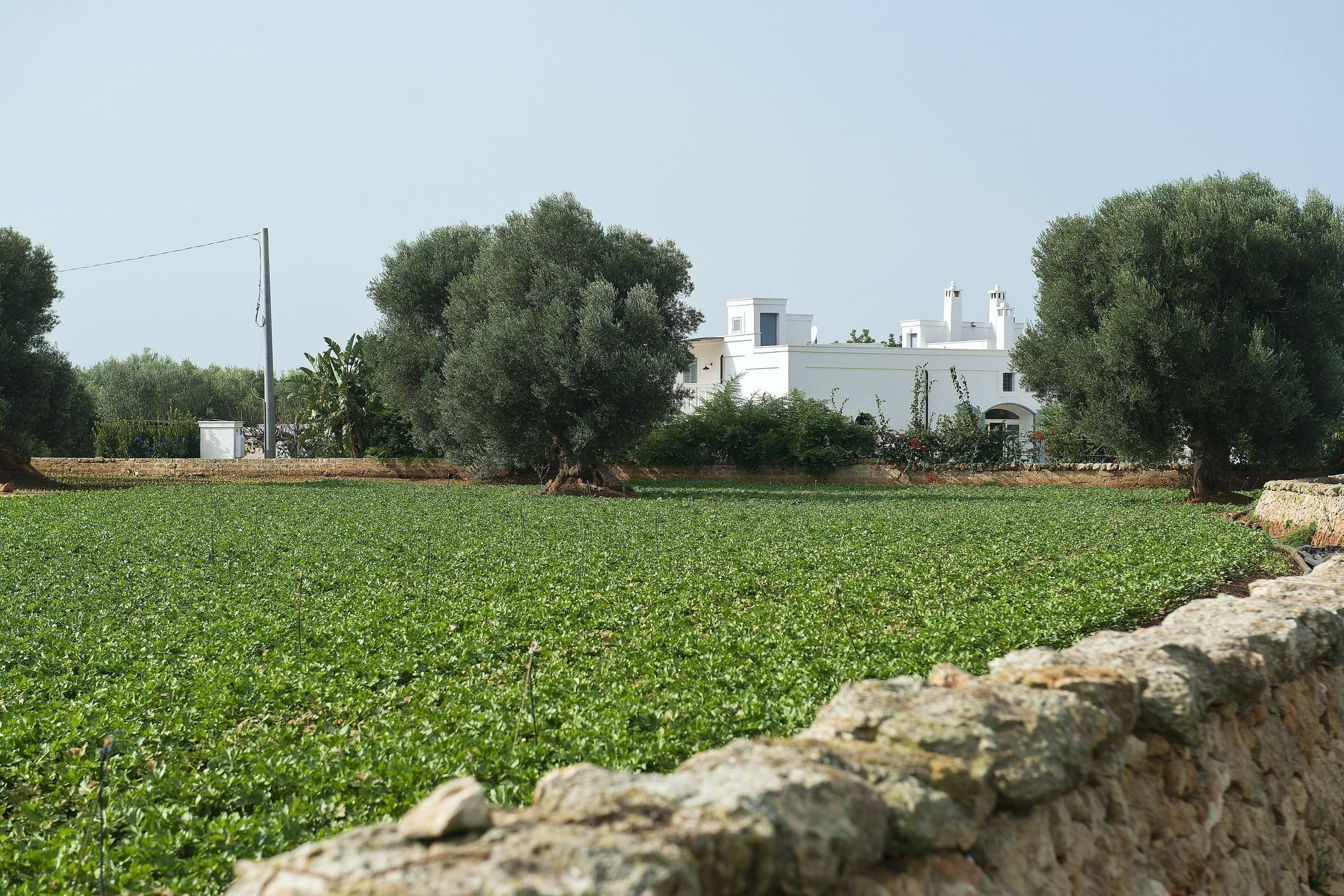 Masseria Don Luigi-Luxury Farmhouse Savelletri ภายนอก รูปภาพ